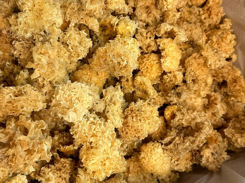 漳洲丙耳|滋陰養顏清熱